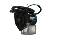 DC Motor 12V