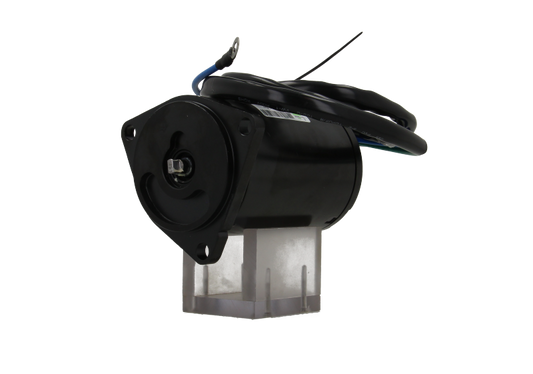 DC Motor 12V