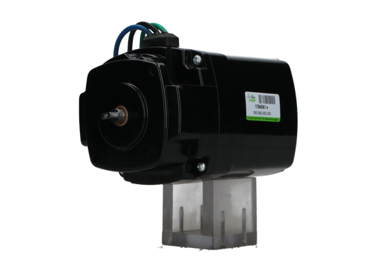 DC Motor 12V