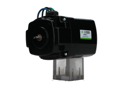 DC Motor 12V